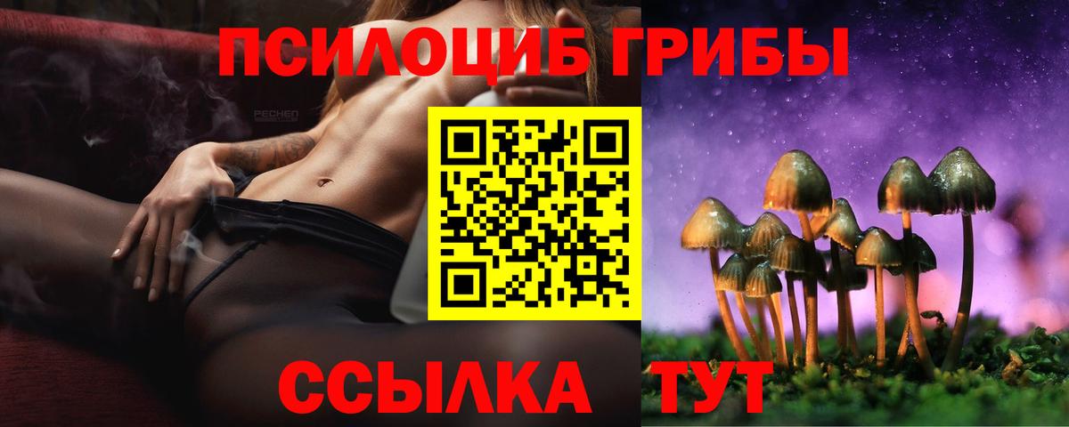 Псилоцибиновые грибы Magic Shrooms  Псилоцибиновые грибы мухоморы  Ахтубинск  Вход с VPN 