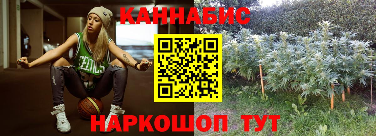 Ахтубинск  Канабис гибрид  Вход с VPN  Бошки марихуана сатива 